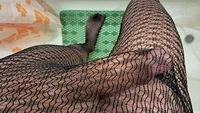 Big cock man cumming hard through black netlike tights in the bath - Image # 3